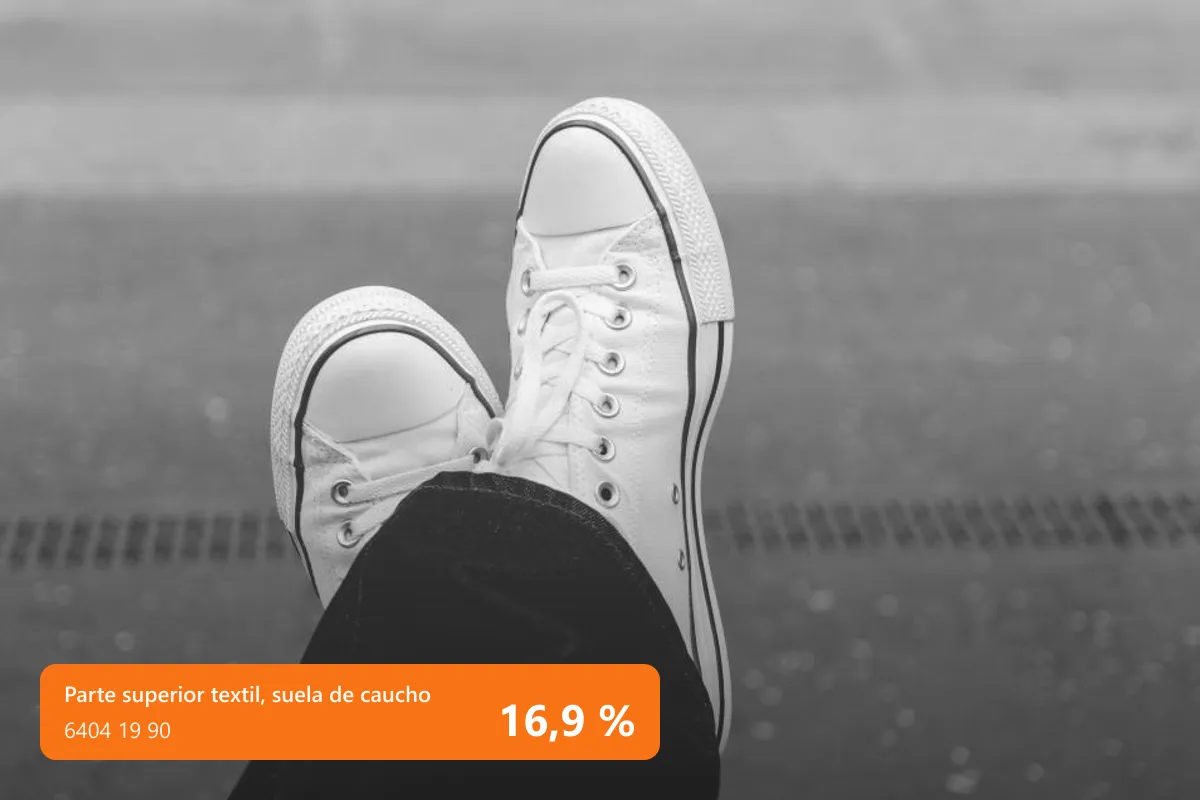 Zapatillas de lona con suela de caucho: 16,9 %