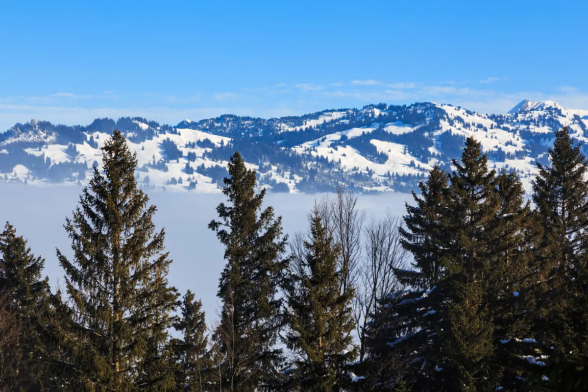 Montañas nevadas de los Alpes suizos